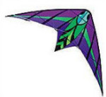 Luna Ultralight Stunt Kite - Joel Scholz - 90.75" by 40.5"
