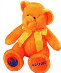 Star Scopes - Zodiac Bear - Aquarius