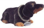 Bob-A-Long - Dachshund - Purebred Puppies