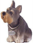 Bob-A-Long - Schnauzer - Purebred Puppies