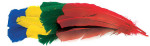 Fancy Feathers - Assorted Colors - 24 Feathers