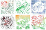 Insect Rubbing Plates - Package of 6
