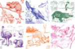 Australian Animals Rubbing Plates - Package of 6