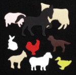 Circle Time Felt Fun - Animals