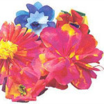 Big Paper Flowers Kit - Brown Bag Crafts