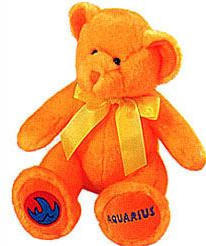 Star Scopes - Zodiac Bear - Aquarius
