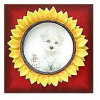 Sunflower Frame - Style 3 - 3  x 3" by Canasia