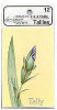 U.S. Playing Card Company