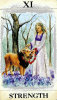- ZooScape - Tarot Fortune Teller Greeting Cards - The Complete Set