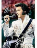 - ZooScape - Elvis - Aloha From Hawaii - 2D Perfalock Jigsaw Puzzle