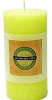 Lemon Verbena - 6" x 3" by Canasia