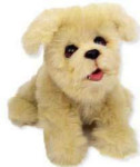 Puppy - Brown