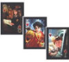Harry Potter Playing Cards - Bicycle Brand