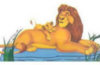 - ZooScape - 3D Reel Cards - The Lion King - Set of Three