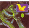 /trait101308/critiquet120597Fisher-Price - Toys products - 3D Reel Cards - Snakes - Set of Three