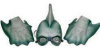 Super Swimmer Shark Mask and Glove Set