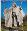 Return of the King - Gandalf the White
