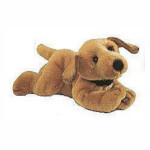 Amber the Golden Retriever Puppy