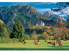 Neuschwanstein Castle in Autumn - 1500 Pieces