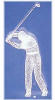 - ZooScape - Golfer Glass Motif