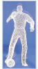 - ZooScape - Soccer Player Glass Motif