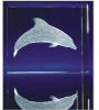 - ZooScape - Dolphin Glass Motif