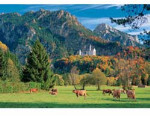 Neuschwanstein Castle in Autumn - 1500 Pieces