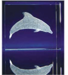 Dolphin Glass Motif