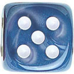 Silk Dice - Set of 5