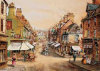 - ZooScape - Street Scene, Peter Bradshaw - 500 Pieces