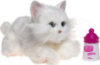 Kitten - White