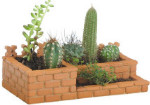Teifoc - Small Garden