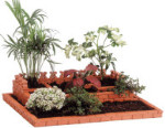 Teifoc - Large Garden