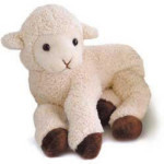 Floppy Lamb