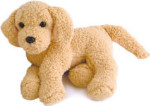 Floppy Golden Retriever