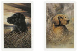 KEM - Super Index - Hunting Dogs Playing Cards - 2 Deck Set
