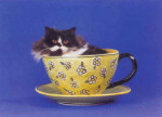 Tea Time, Judy Reinen Series with Poster - 500 Pieces