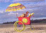 Hot Dogs, Judy Reinen Series with Poster - 1000 Pieces