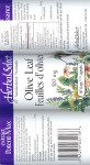 Olive Leaf - 500 mg