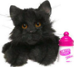 Kitten - Black