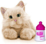 Kitten - Beige