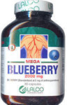 Mega Blueberry - 2000 mg