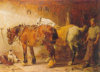- ZooScape - Passion and Patience, John Sargent Noble - 500 Pieces
