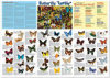 Butterfly Tumble Poster in a Tube