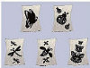 - ZooScape - By Jacob's Magnets - Bugs - Set of 5