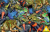 Frogs - 1000 Pieces