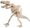 B.C. Bones