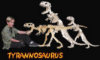 B.C. Bones - Premium Tyrannosaurus Model Kit - Medium