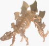B.C. Bones