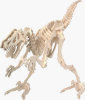 B.C. Bones - Premium Velociraptor Model Kit - Large